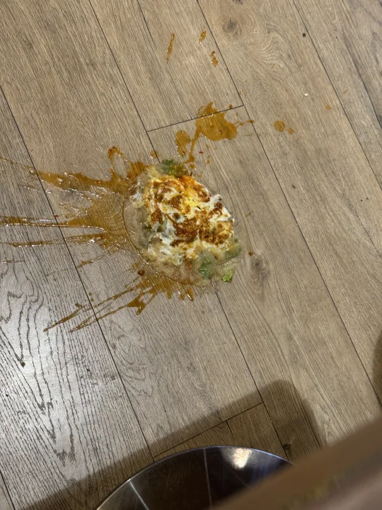 嘉兴新店！地板先吃了啊！