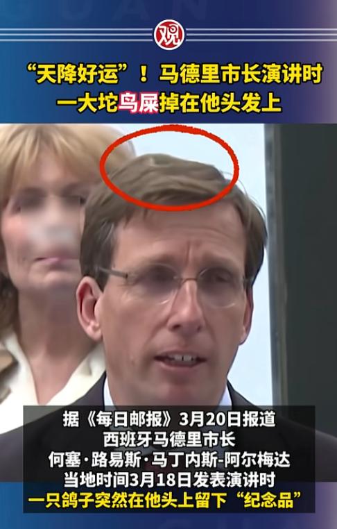 谁能想到，一场严肃的官方活动，能被一只鸽子搞出全网刷屏的名场面，3月18号的时候