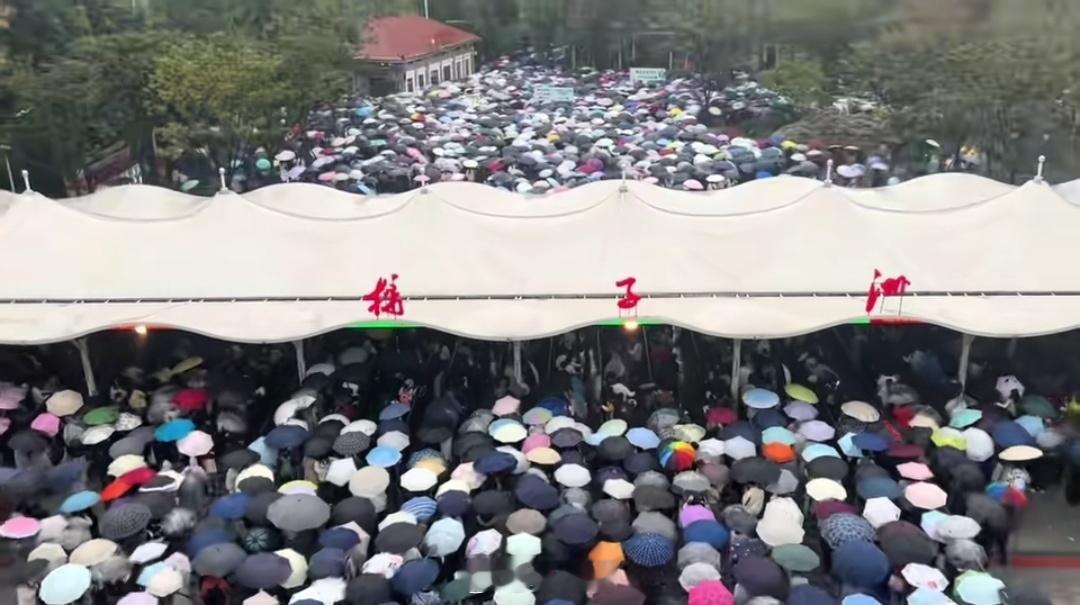 橘子洲头的路由伞铺成！大雨也阻挡不了人们去看教员。很多人还预约不上。 ​​​