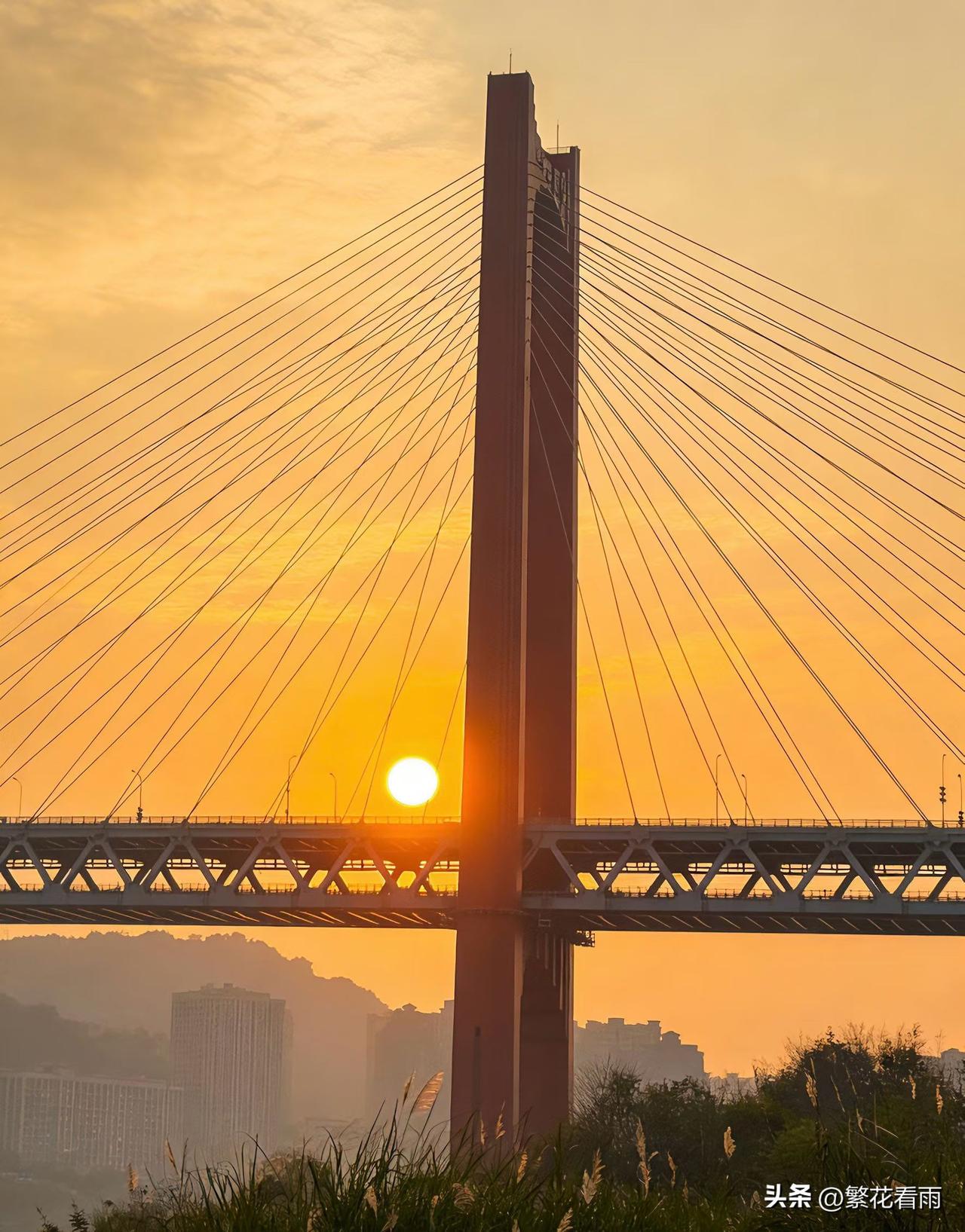 年，来了又去，像一场烟火，在夜空里尽情亮过，热闹过后，只剩安静的夜色。那满地散落