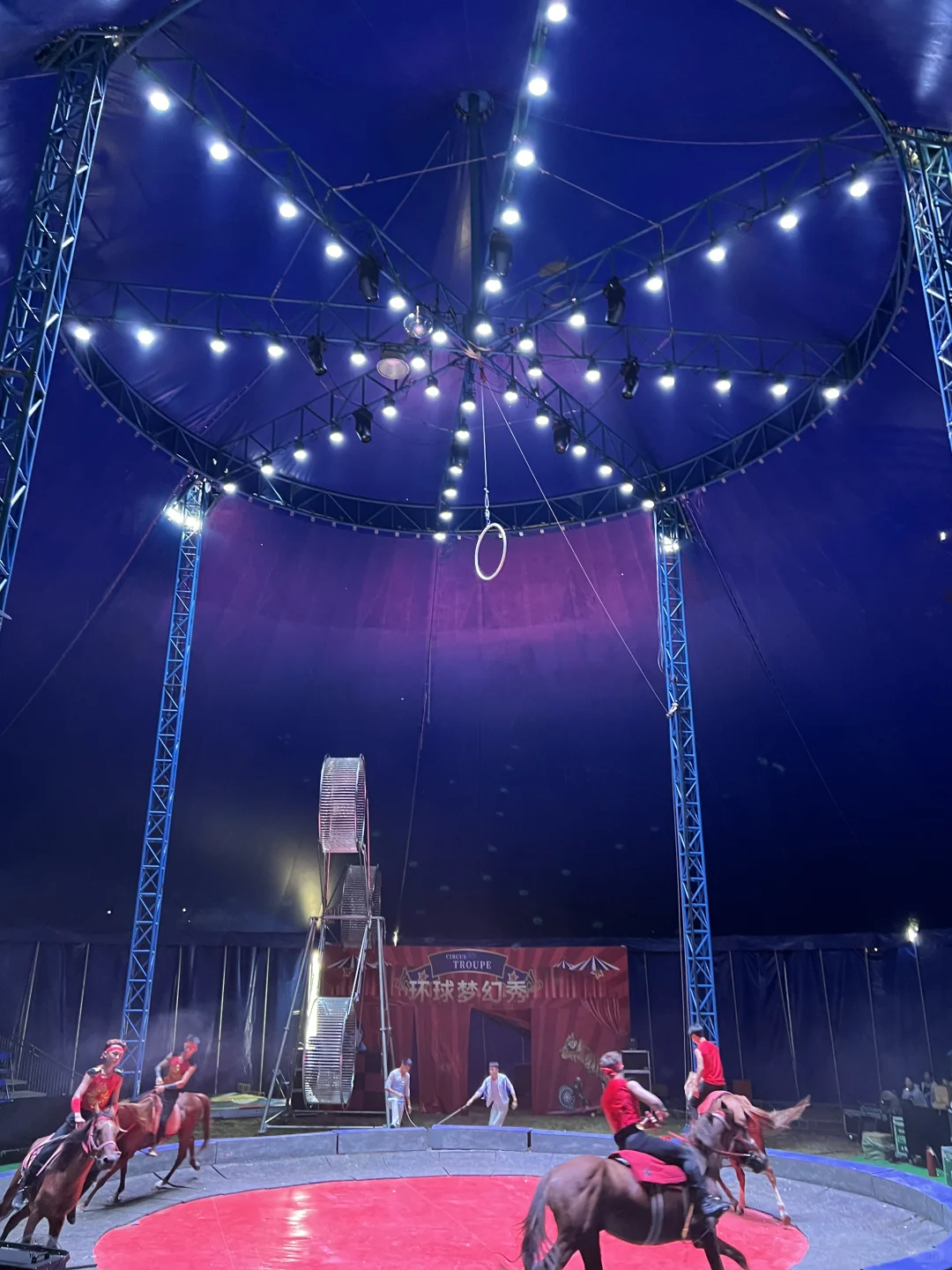 国庆出游攻略来啦！苏州太湖国家湿地公园