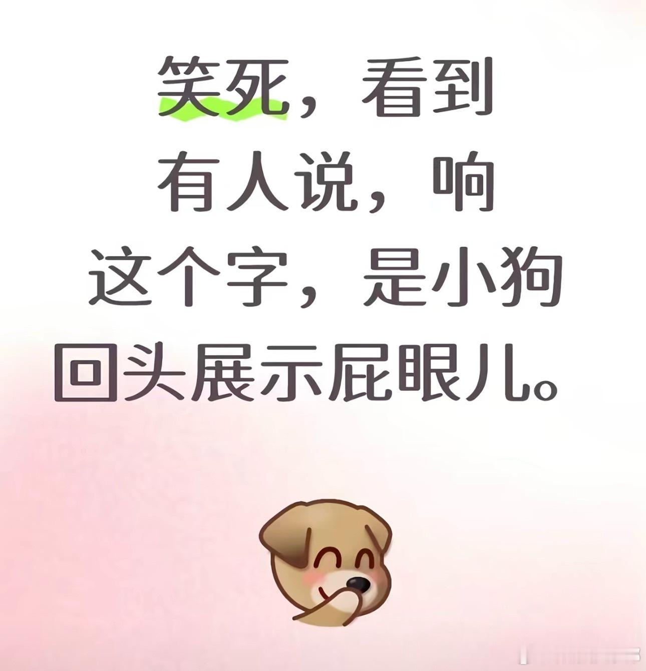 完了，回不去了 ​​​