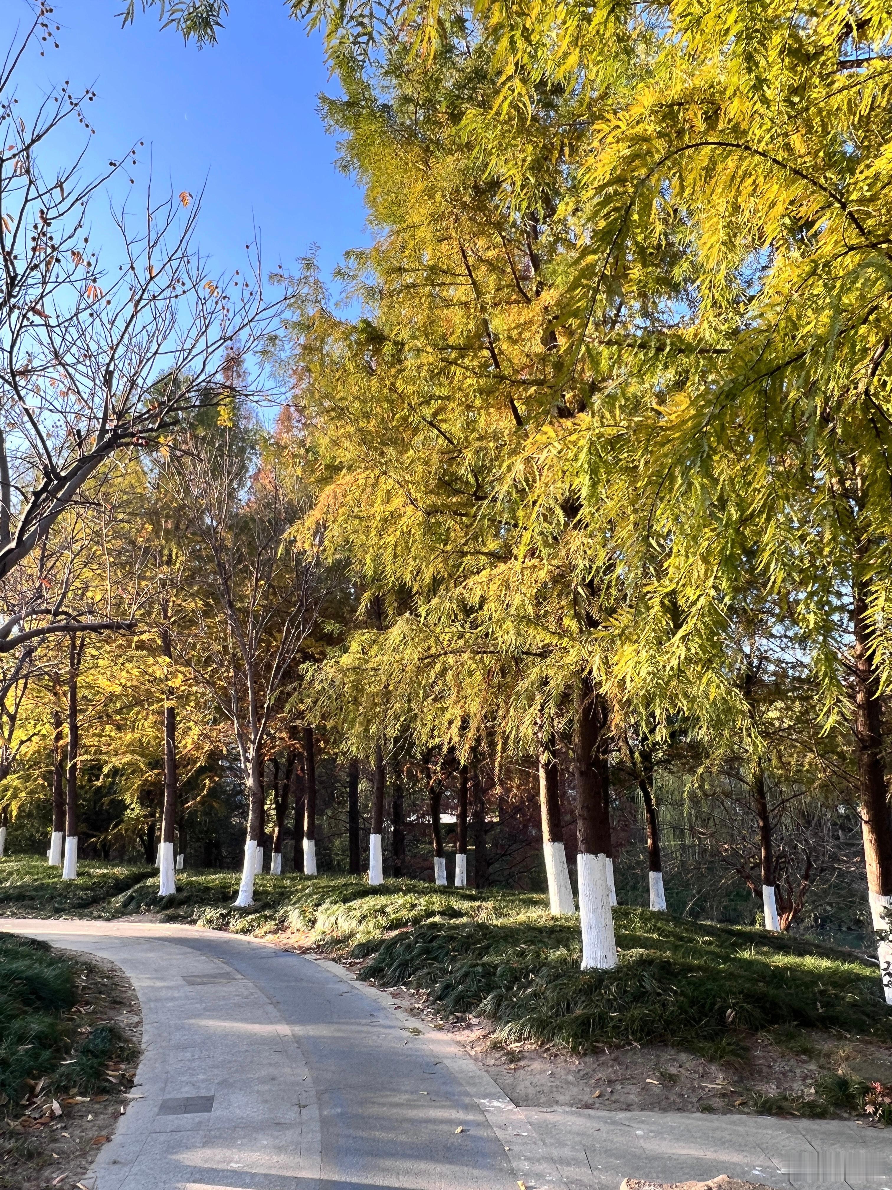 刚学员跟我说她发现她们单位已婚男同事爱来跟她聊天（她也已婚），还约她吃饭什么的，