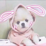 楠明爱玩体育