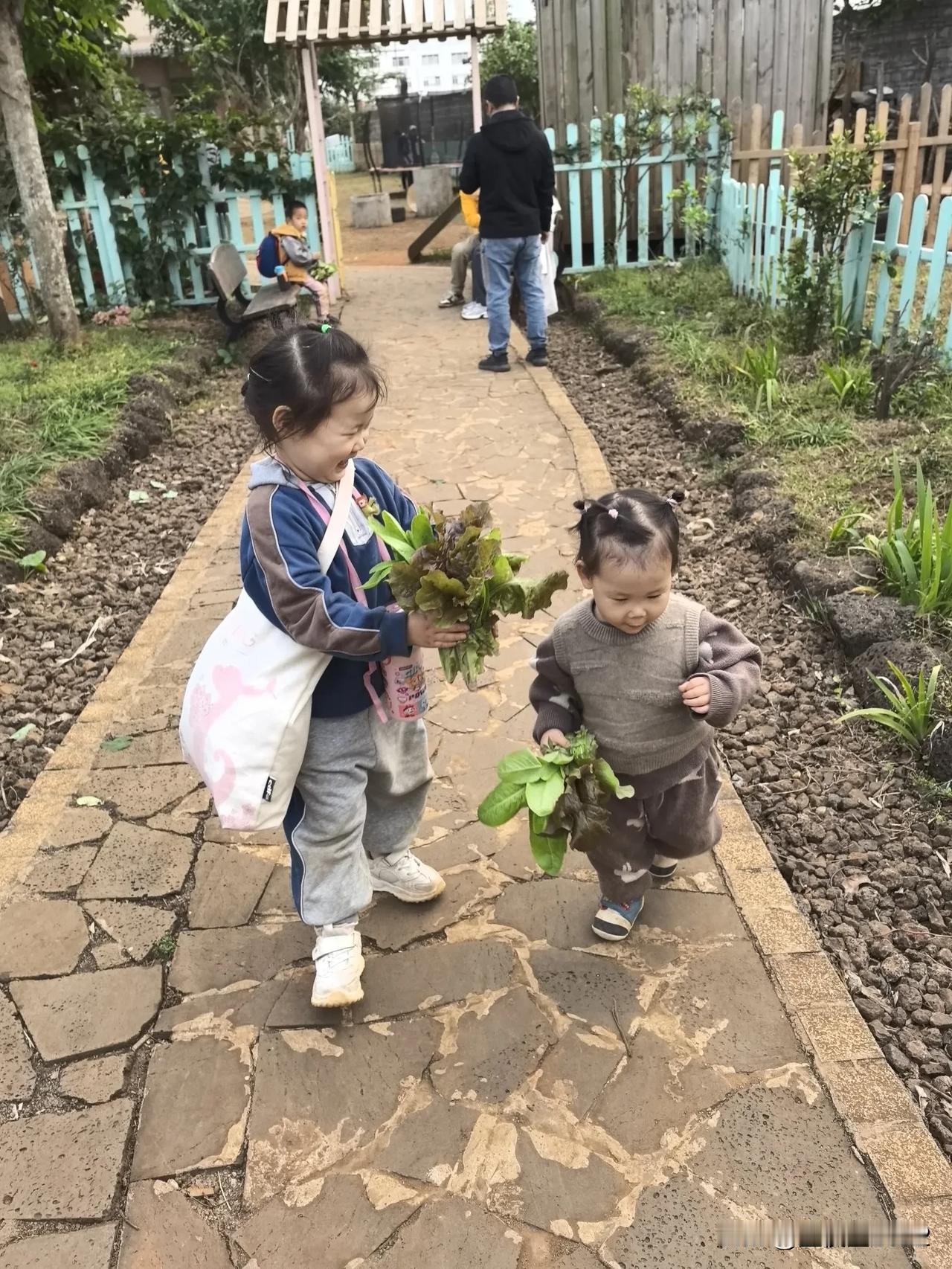 今天幼儿园是本学期最后一天，可菜园里还生长着很多孩子们跟着老师种下的青菜，郁郁葱