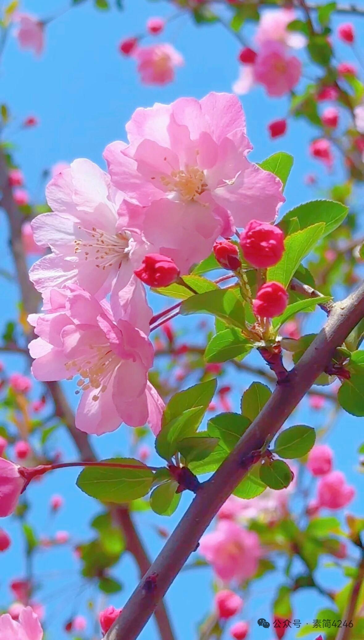 一句话概括，幸福是什么⊙∀⊙？幸福就是：想要的少，拥有的刚好，心里知足[笑哭]