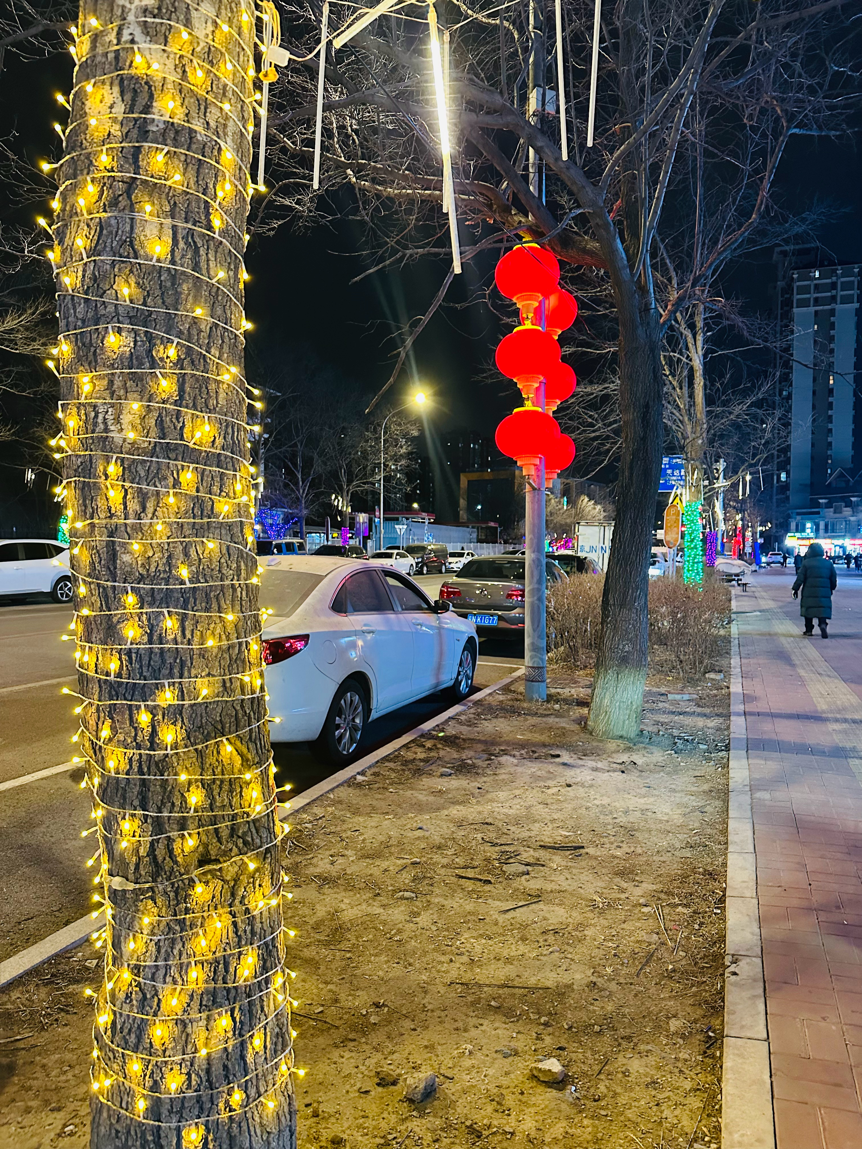 未免看向自己的恶意，似乎，期待他人的善意更容易。这样，我们就可以可以尽情受害了。