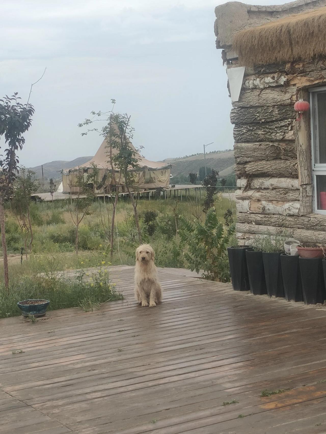 咱先来说说家庭这档子事儿。好多没钱的家庭，那状态真不咋地。你要觉得是因为没钱才这