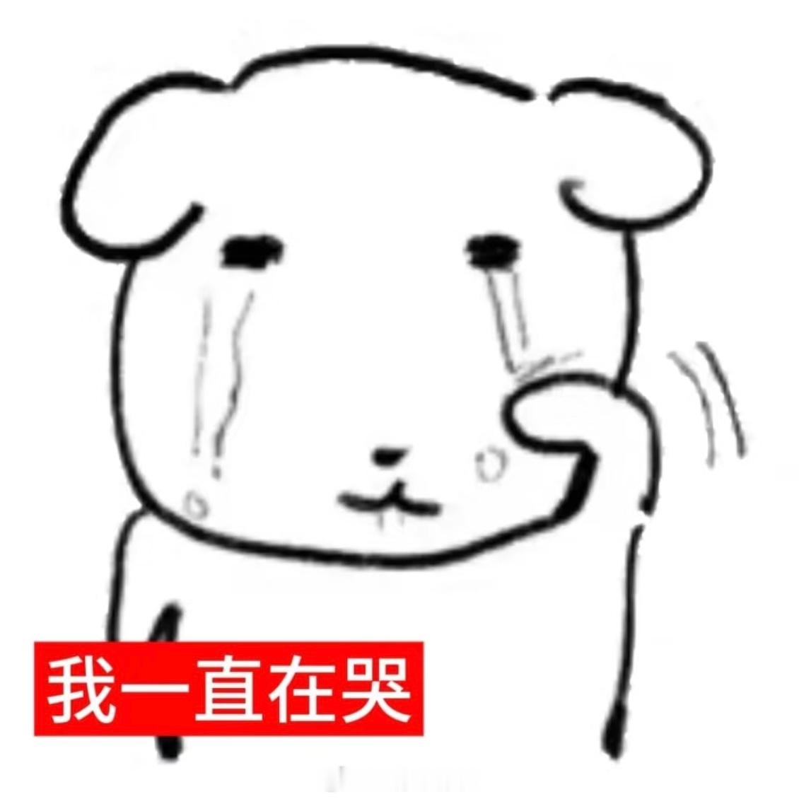 从一公我就在拜，到底朝哪个方向拜才能总决赛接到孙怡和曾沛慈一队啊 
