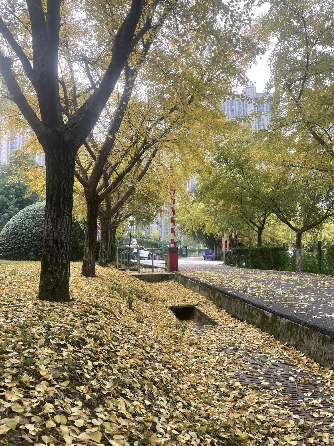 我的今日状态：😁轻松愉快
我这里的天气：☀️晴天