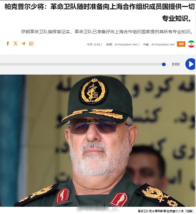 说实话...有点幽默 