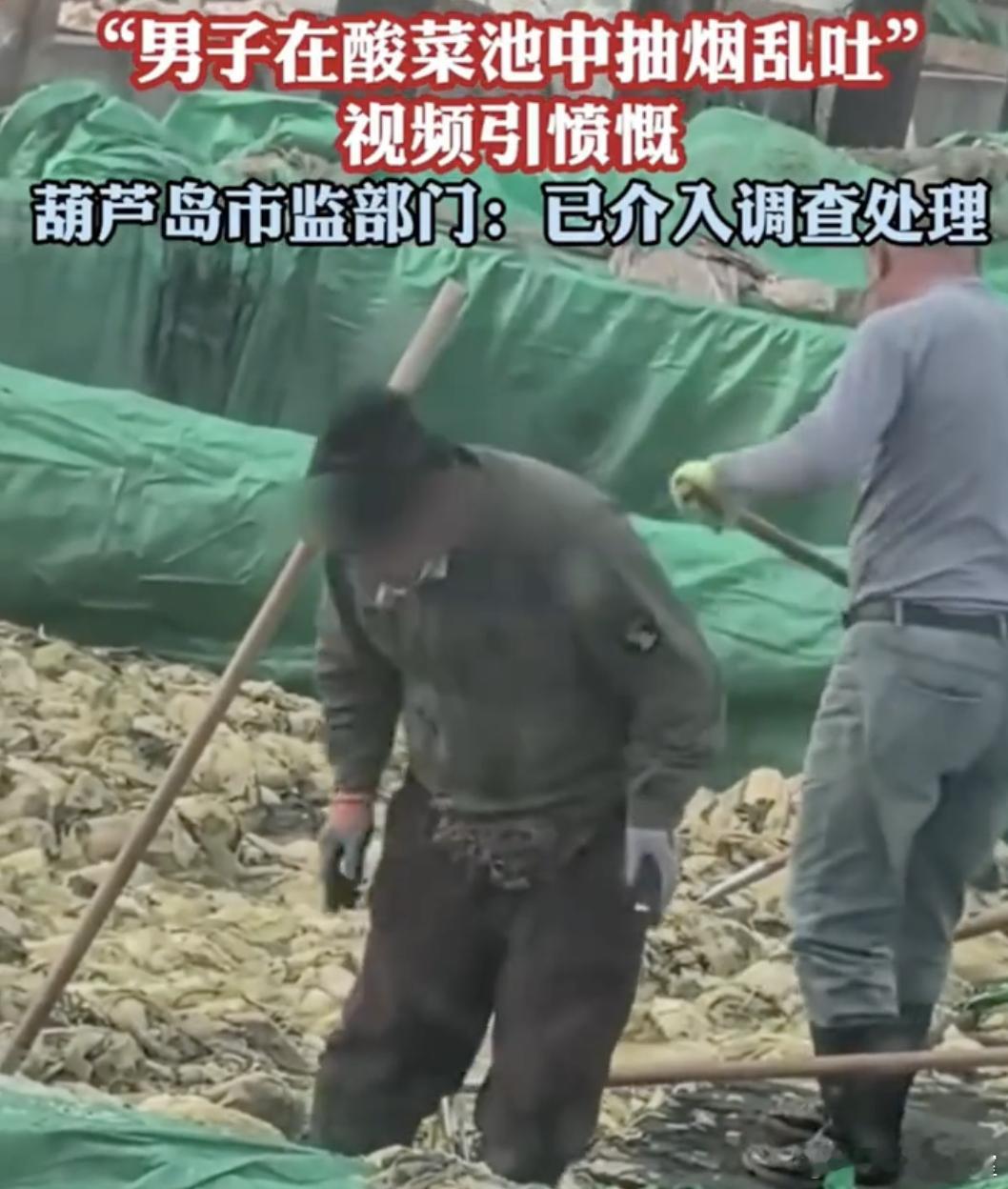 市监局确认酸菜生产乱象属实 当初大牌方便面的酸菜丑闻才刚过去多久......怎么