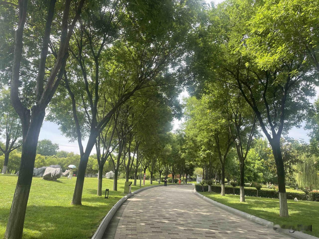 【七绝•夏木生荫涤暑烦】
夏木生荫涤暑烦，沉瓜解渴慰心欢。
清风最是无孅啬，尽管