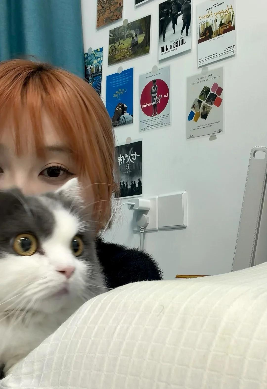 我的少女心事是猫和电影
一眨眼。
我的少女时代已经过去十多年了。
	
随手拍 宅