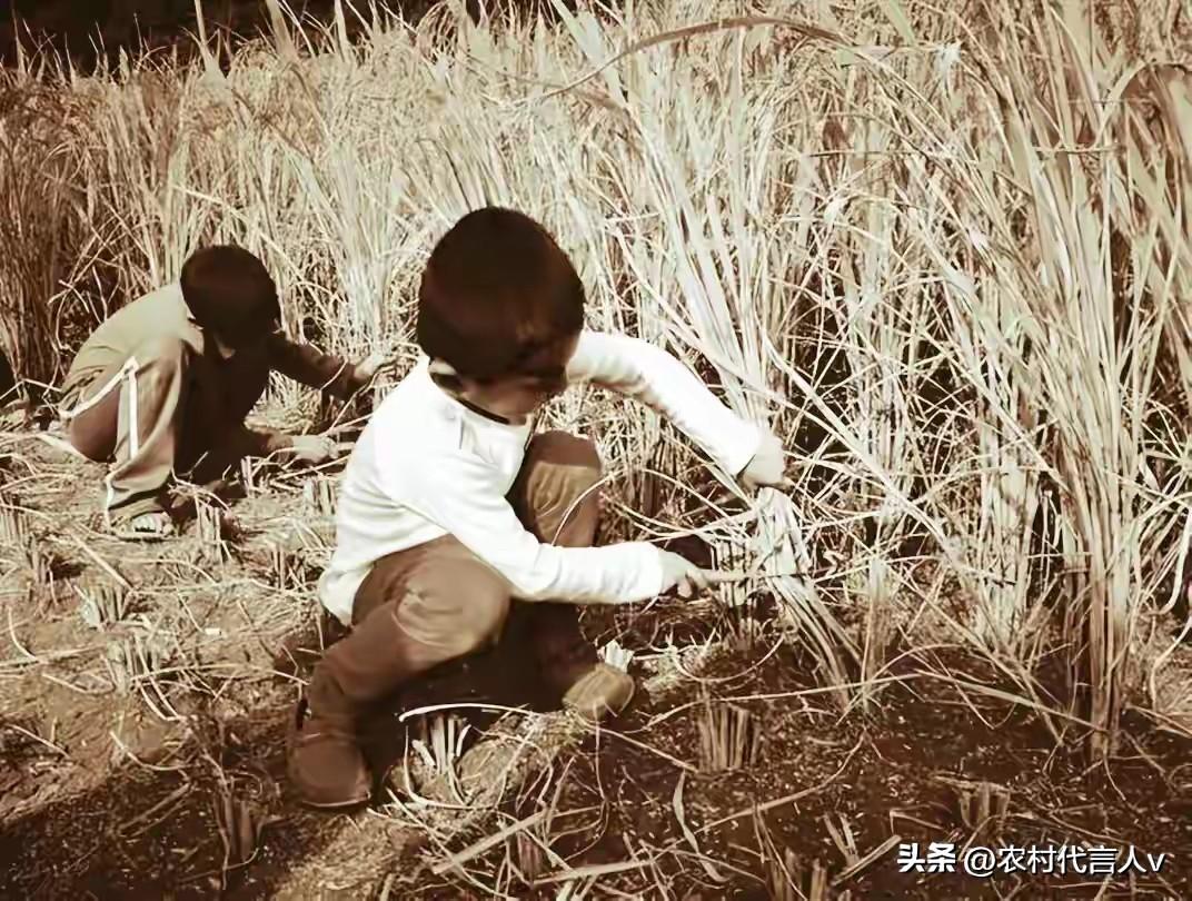 那个年代，饭不够吃，但心是满的，回忆父辈的六七十年代农村生活。
 
父亲今年72