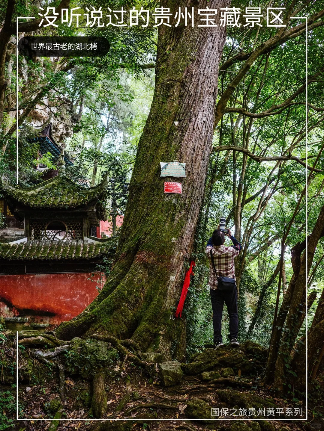 不输日本京都古寺，藏在贵州黄平的小众寺庙