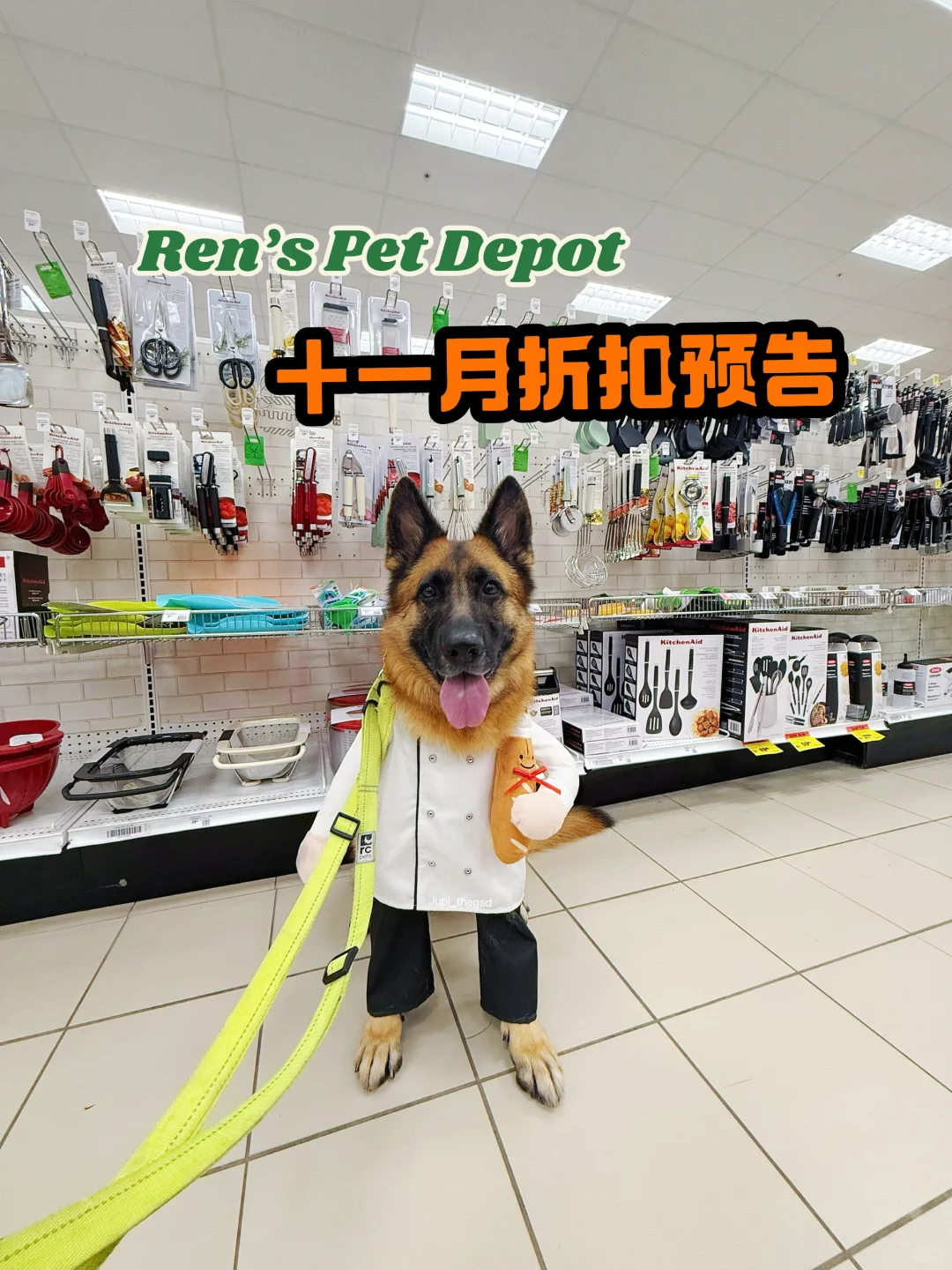 Ren’s Pet Depot十一月$10🔪折扣预告