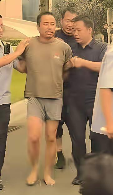 天网恢恢，疏而不漏，
落网了，一切回归正常。终于不用再在玉米地里东躲西藏了。这回