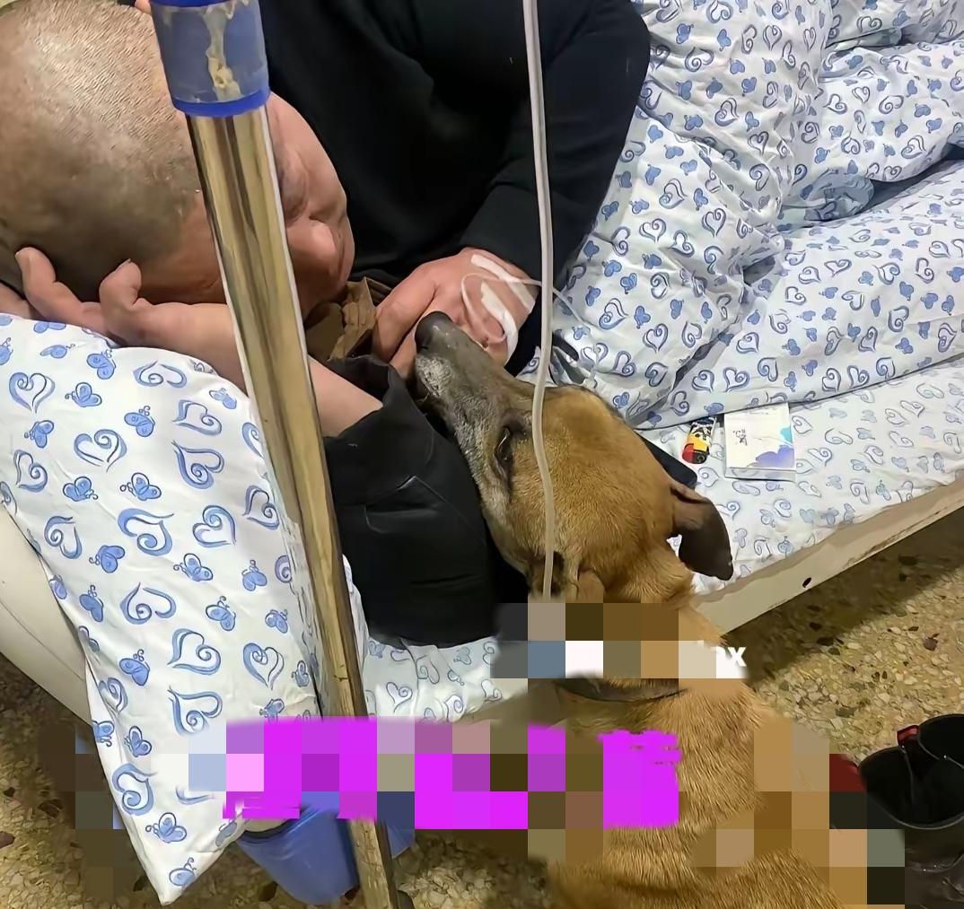 谁懂啊！
        中华田园犬的爱从来都直白又滚烫，根本藏不住！
    