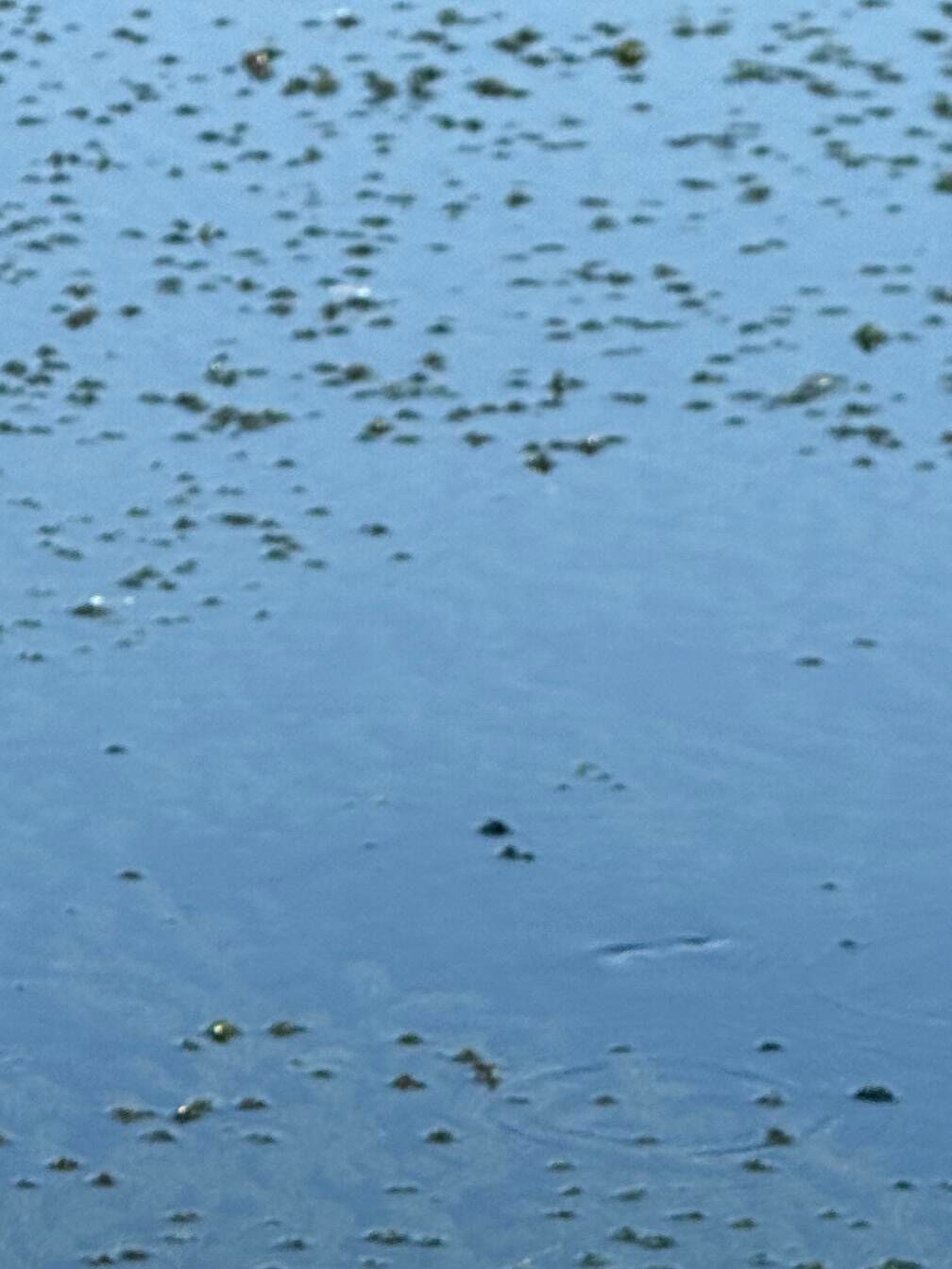 0900不要轻易躲开属于自己的阳光，不要轻易抛弃属于自己的世界，不要轻易丢掉属于