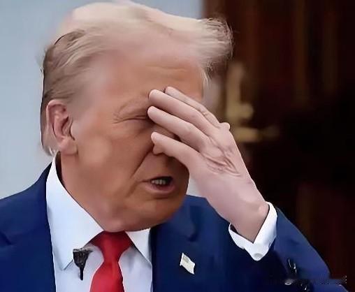 快讯！

美国🇺🇸参议院出手了

1月8号参议院要搞个大动作，投票决议想拦着