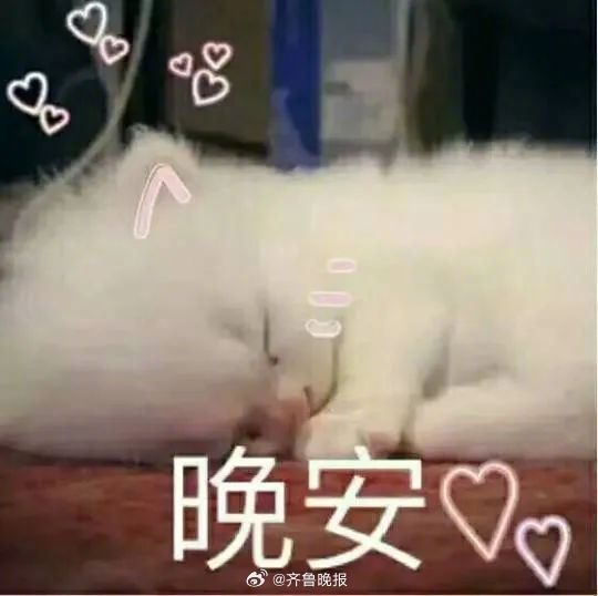 好好睡觉，是善待自己的开始，也是热爱生活的表现。#晚安#