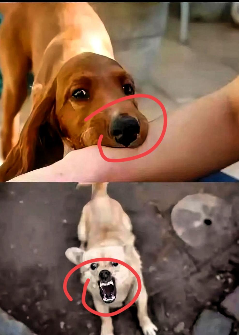 “死者家属拒绝出庭”？看到山西这案子的消息，我直接看懵了！
 
直到看清“死者”