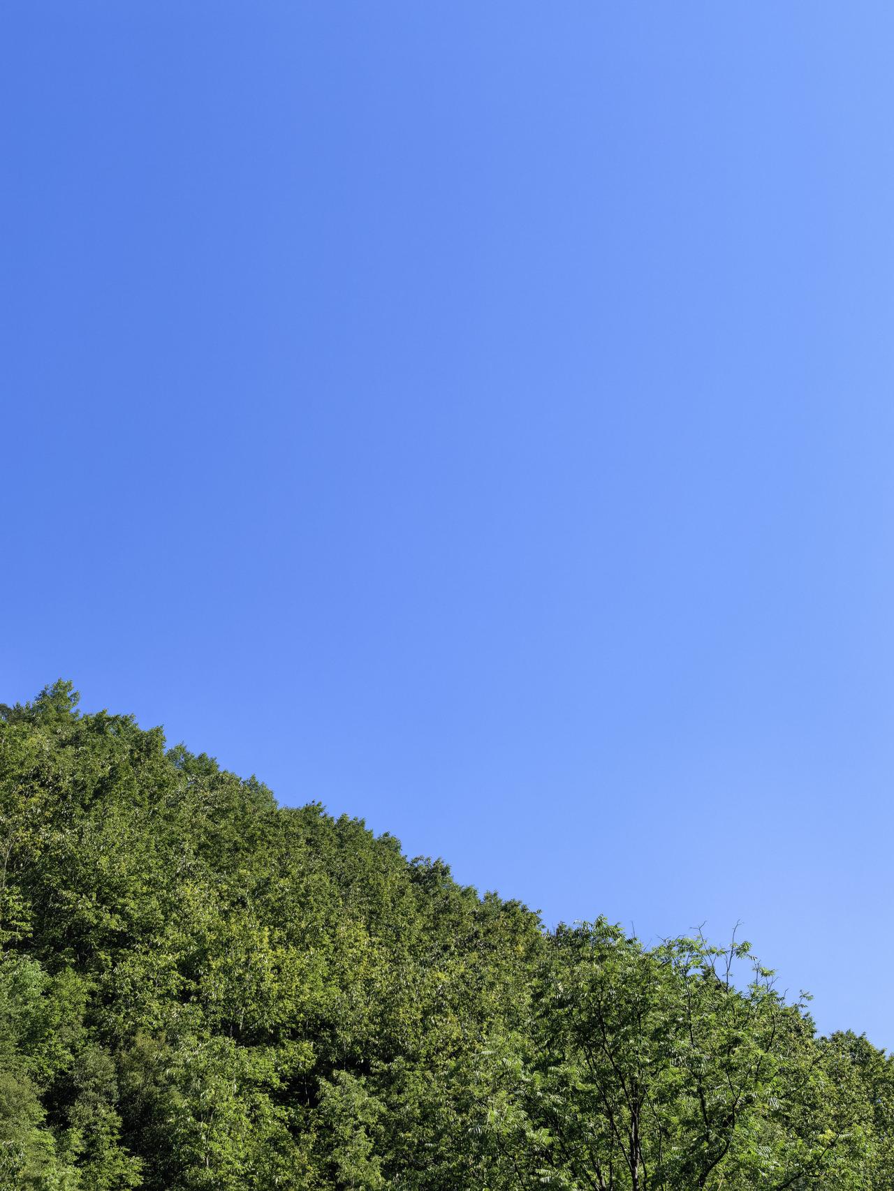 农村真是最适合居住生活的地方分享今日随手一拍 家乡