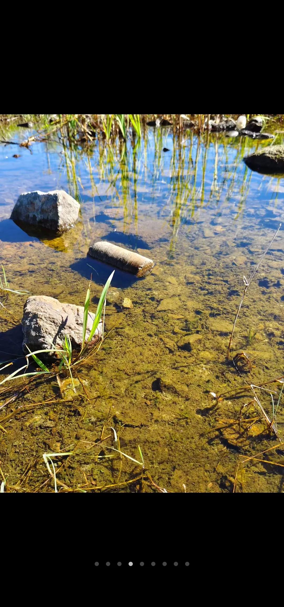 清泉流石上，碧影映芳草。
