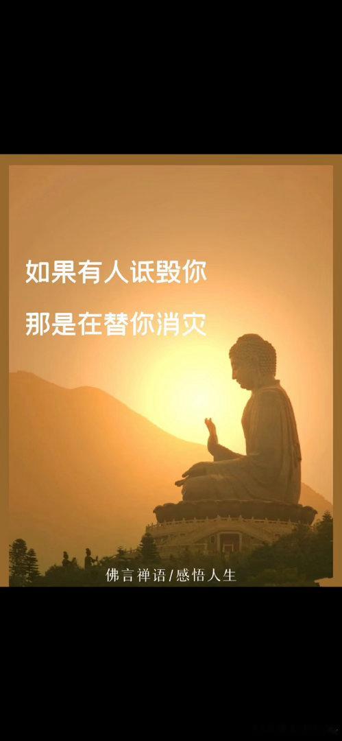黑粉恶意P遗照涉嫌违法不少网友看完侯明昊工作室的声明都十分震惊，好好的生日当天，