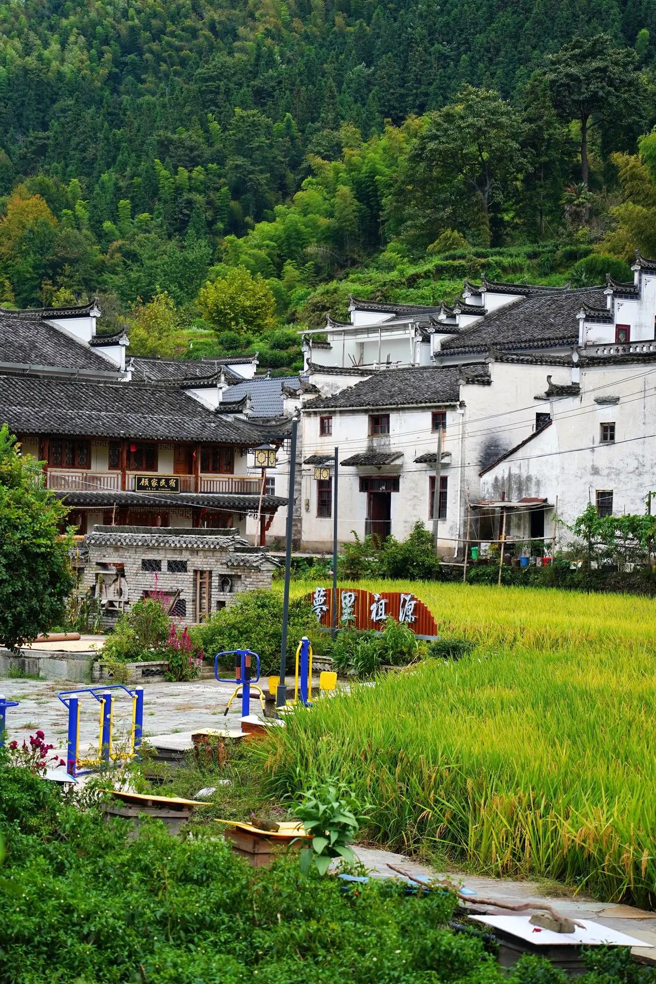 今天和一位南京的初三学生家长聊了聊，他问我 2026 年南京的命题趋势如何，让我