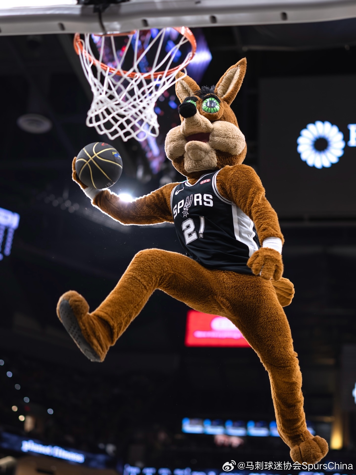 德州老乡激动不