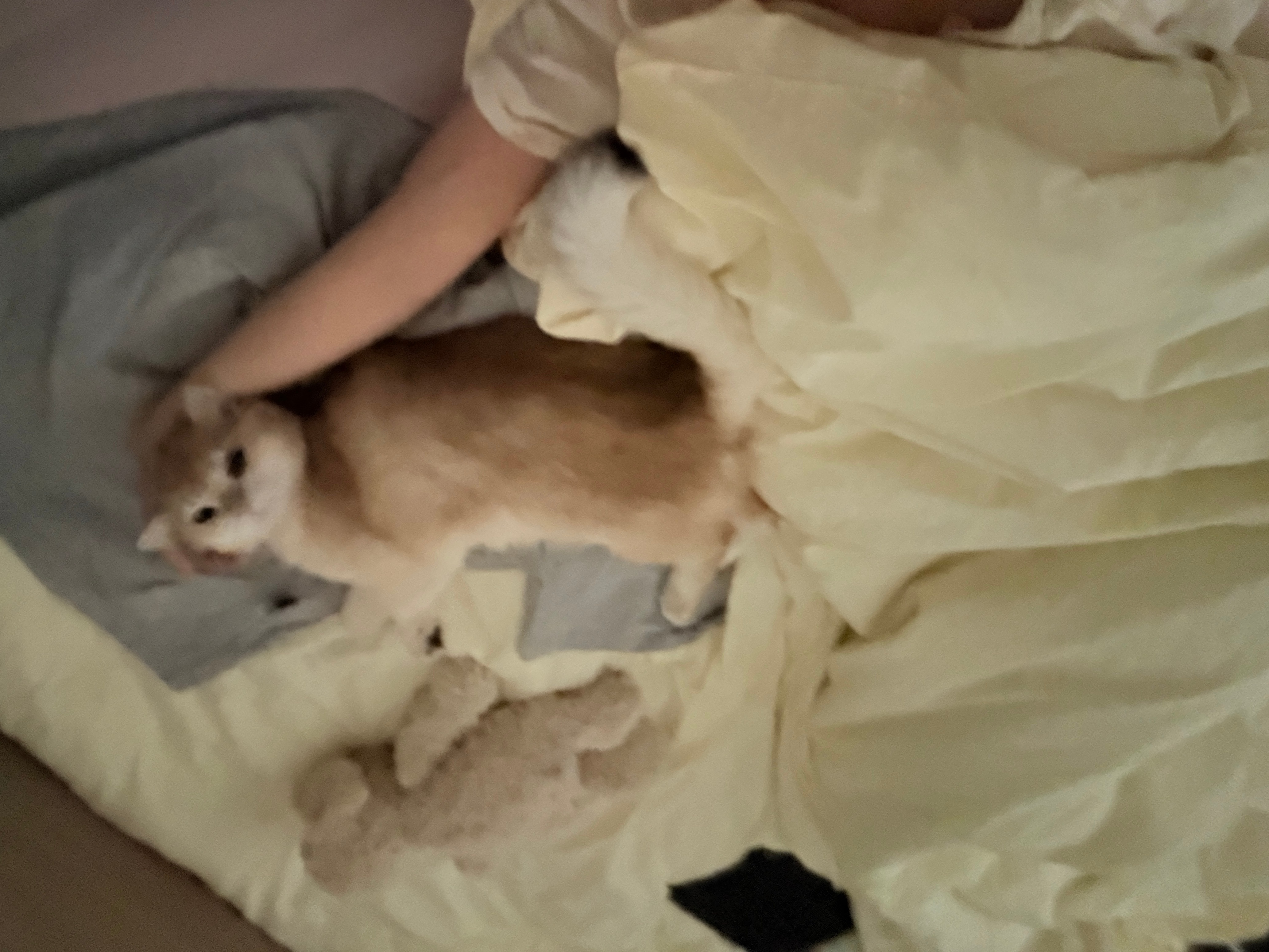 通勤多了十几分钟，但是我每天只需要比以前早起十分钟就可以九点打卡，可能因为房间变