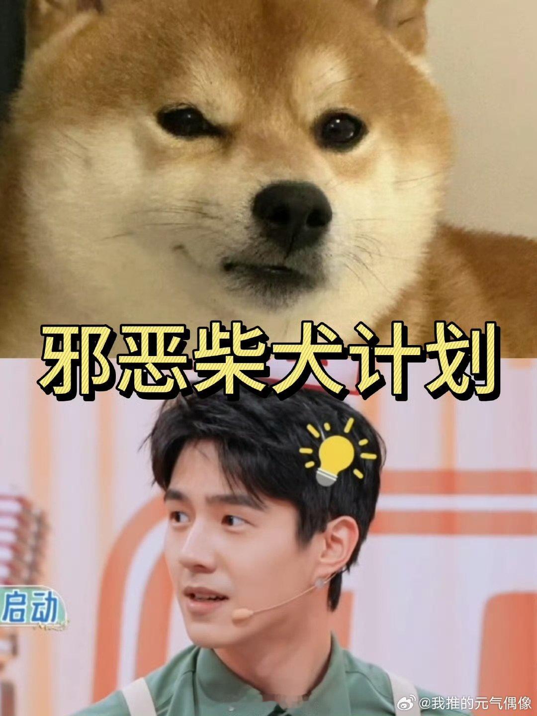 刘昊然[超话]  刘昊然对杨迪展开邪恶柴犬计划  你好星期六 刘昊然这脑子转得也