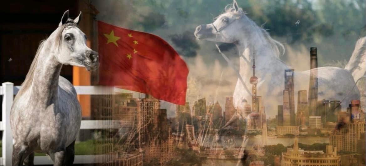 目前法拉在海外有一个女儿待售，4月26日于法国出生，办理法国护照，目前Farah