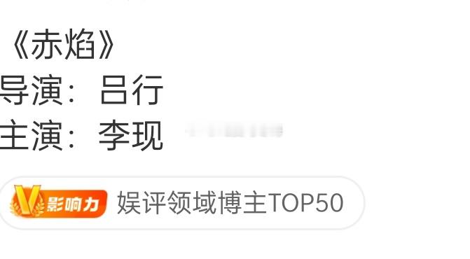 李现新饼《赤焰》导演的履历 
