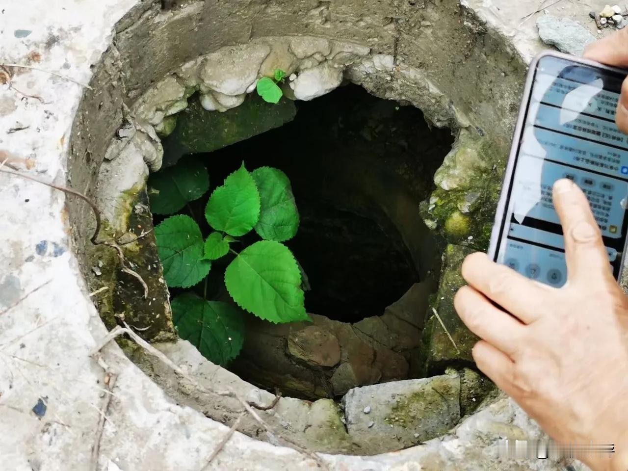 时隔两年半，城市书房“找回盐都”将再次走进贡井！本次活动特别邀请第一批国家级非物