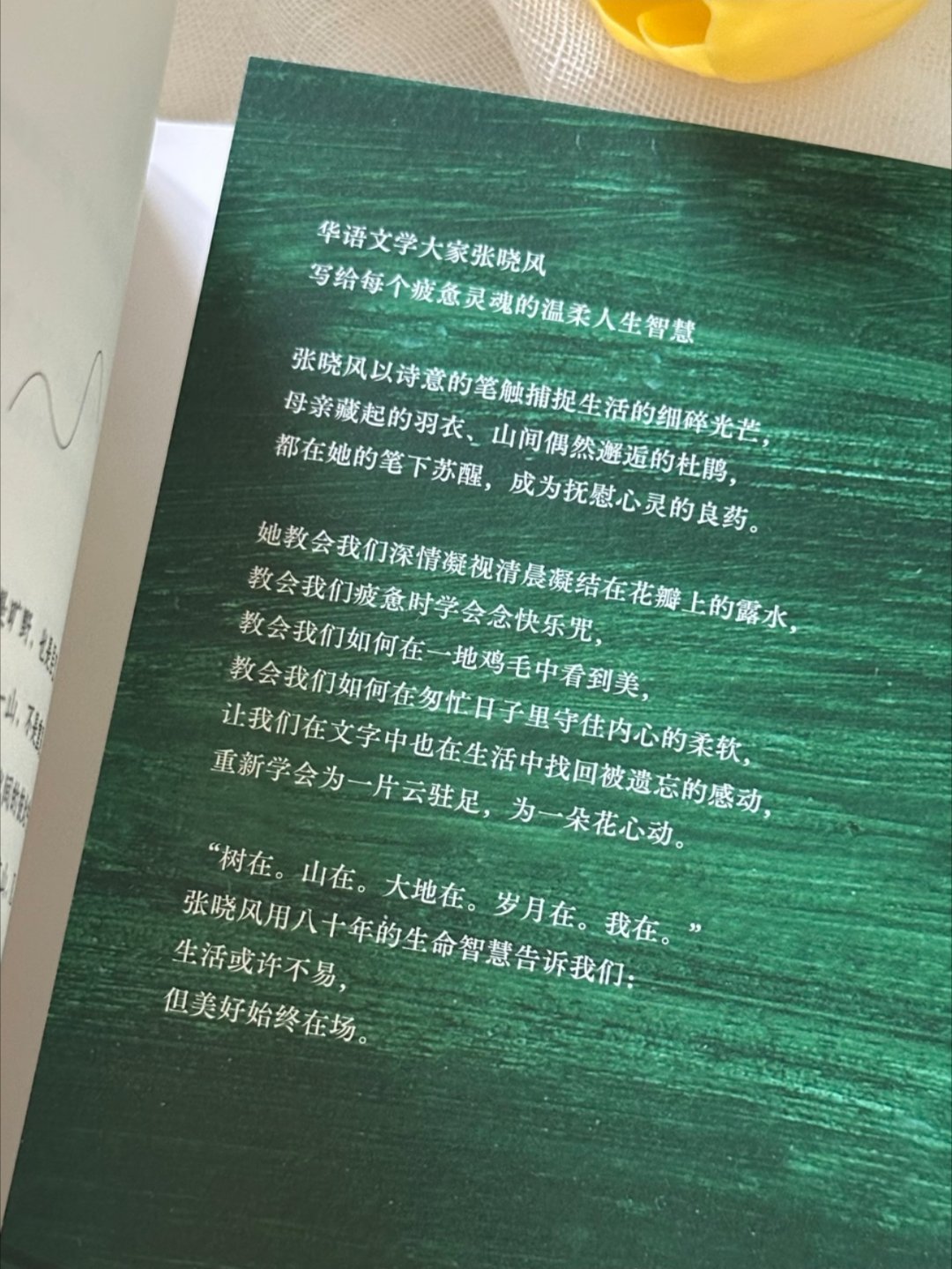 一眼沦陷怎么会有这么治愈的书啊！ 