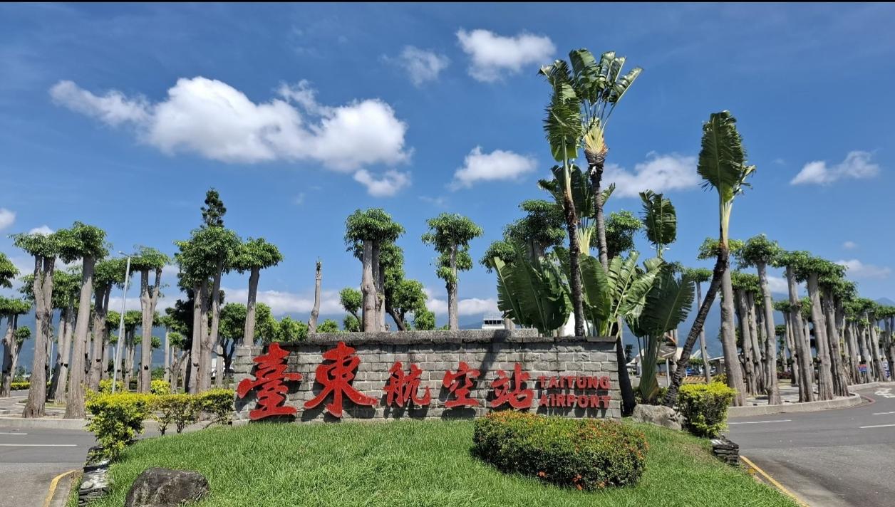 台湾台东机场的树看上去有点特别，树杆挺粗壮，树叶没多少。据说那是为了预防台风而故