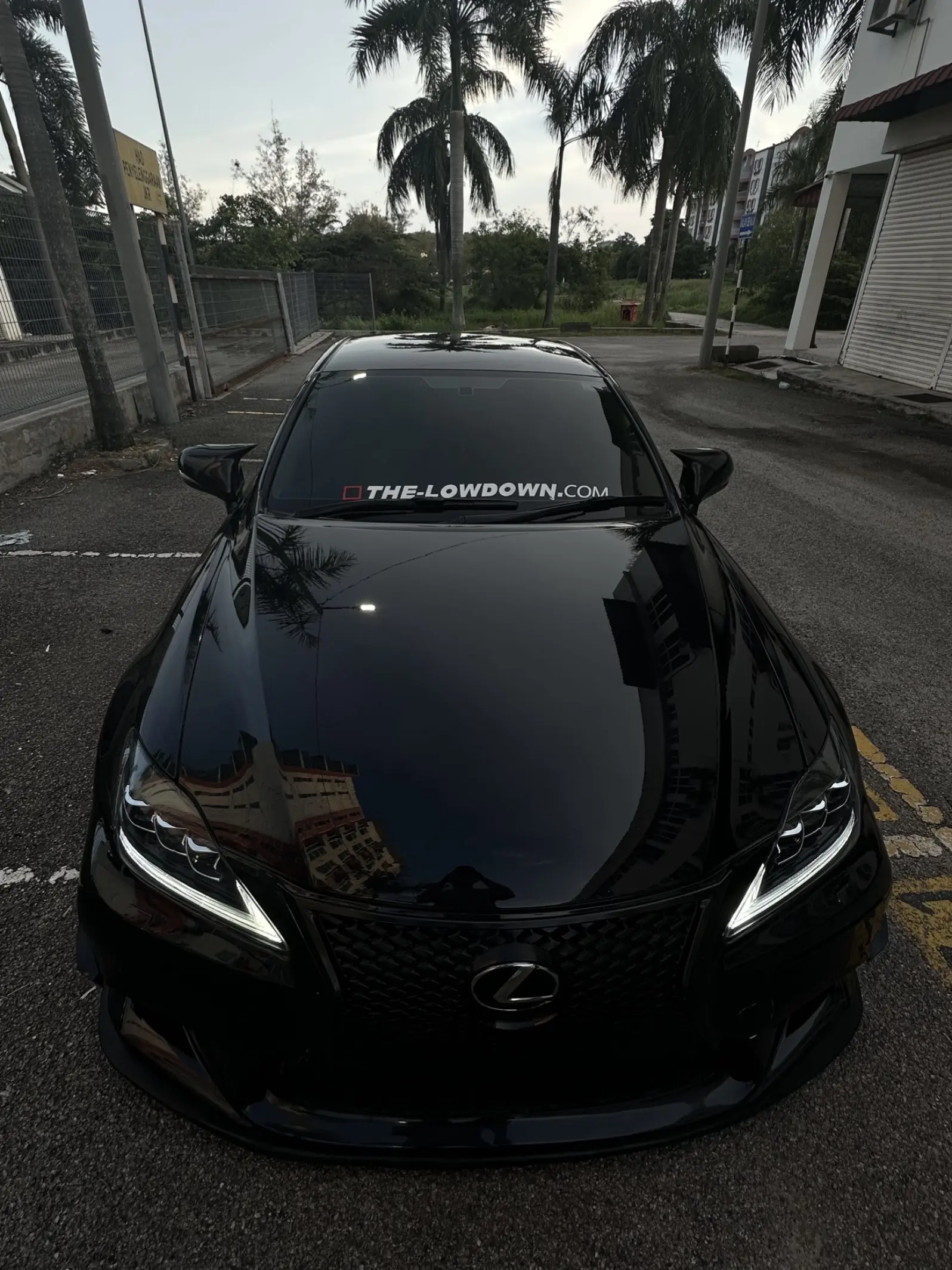 从不感觉孤独 只是选择独行