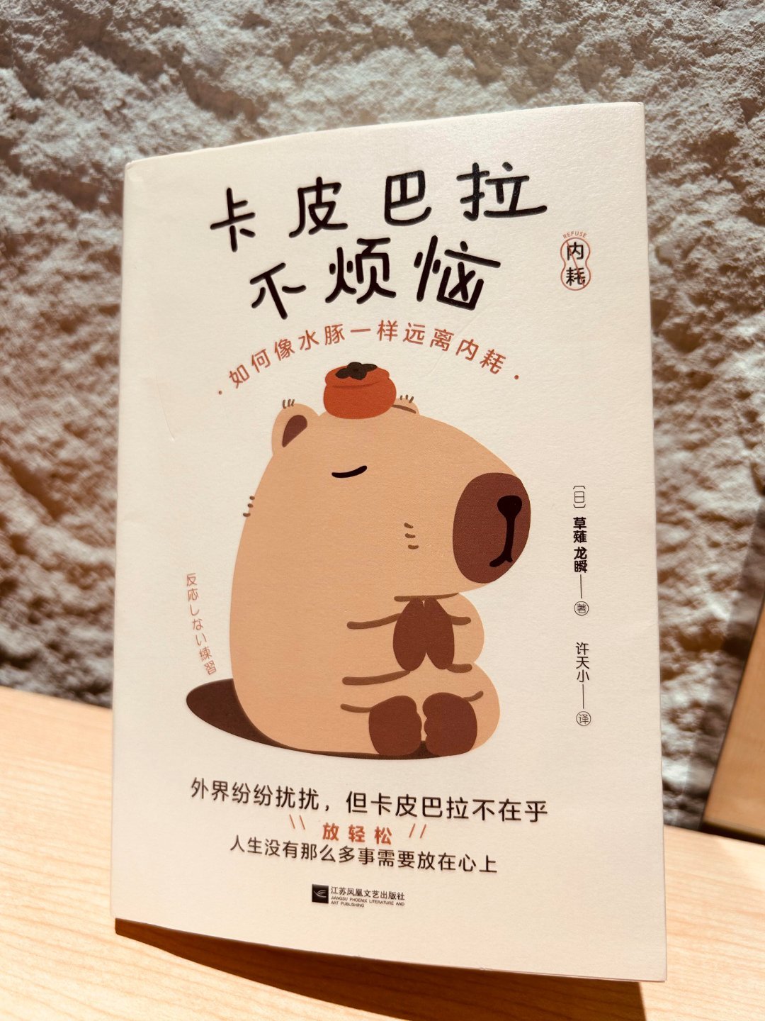 《卡皮巴拉补不烦恼》以其独特的视角和治愈的力量，为我打开了一扇逃离烦恼、拥抱宁静