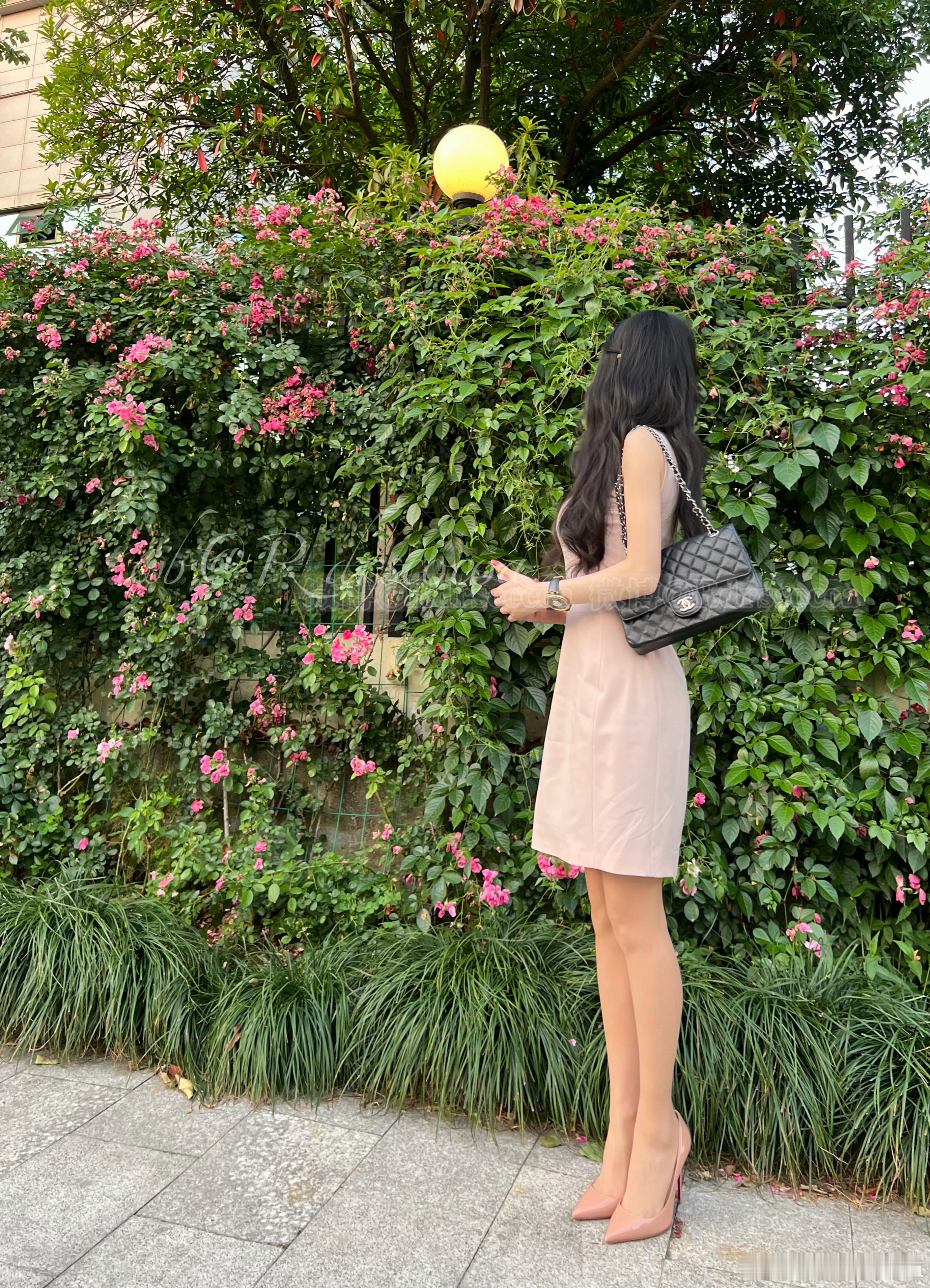 春末初夏 蔷薇花开🌸今天穿什么ootd