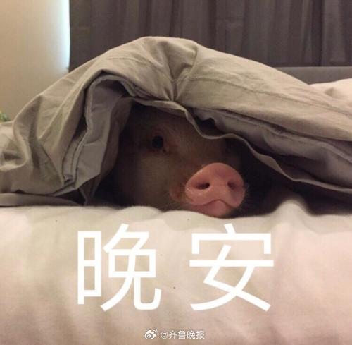 愿你天黑有灯，下雨有伞，每天的坏心情在睡前都清零。#晚安#