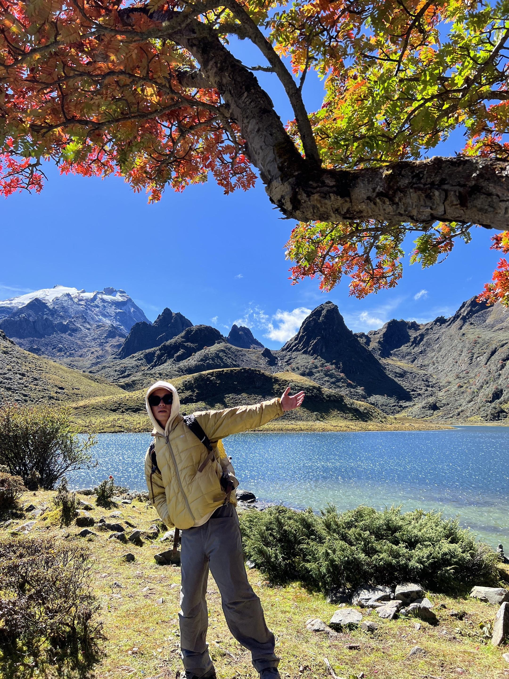 一年只有15天花期的高原“花楸树” 错过了，可又要等一年。 🏔️雪山...