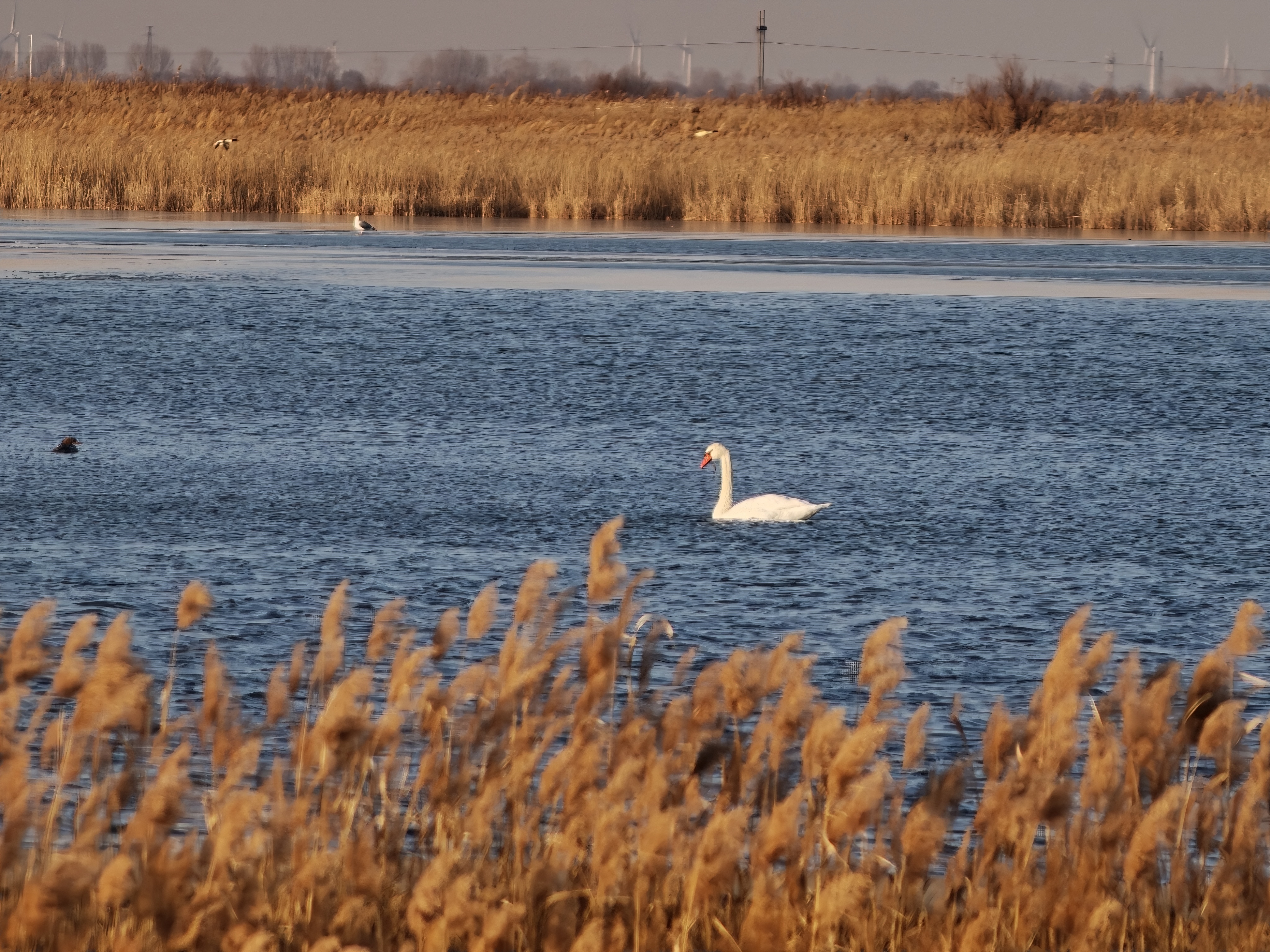 早啊，朋友们！明天就要上班啦！ 