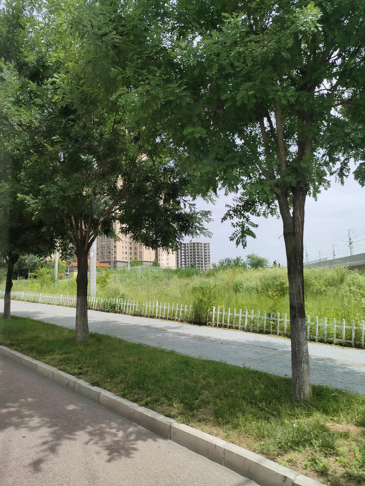 查到高考分数后，不能只看分数高低，要以全省位次为核心依据，对照近三年录取数据划分