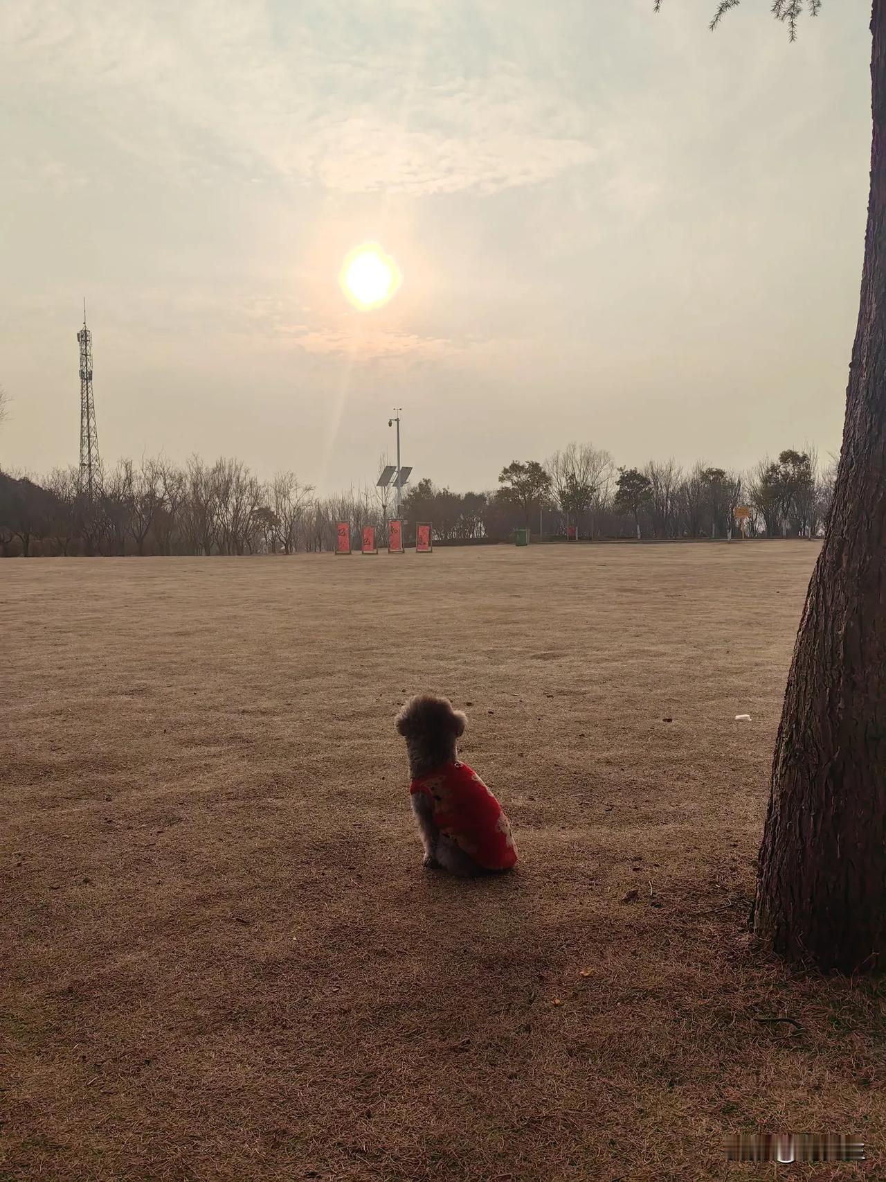 燕声啾啾
我的​小宝贝在想啥～～
晒图笔记大赛分享一张今天拍到的照片 打卡记录下