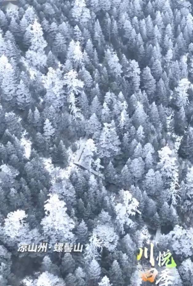 📍 立夏遇“五月雪”，四川螺髻山秒回深冬！

5月3日，受冷空气突袭，四川凉山