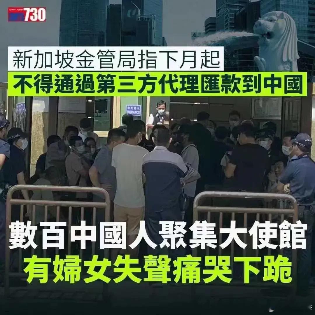没有人可以通过做空祖国而发财！ ​​​