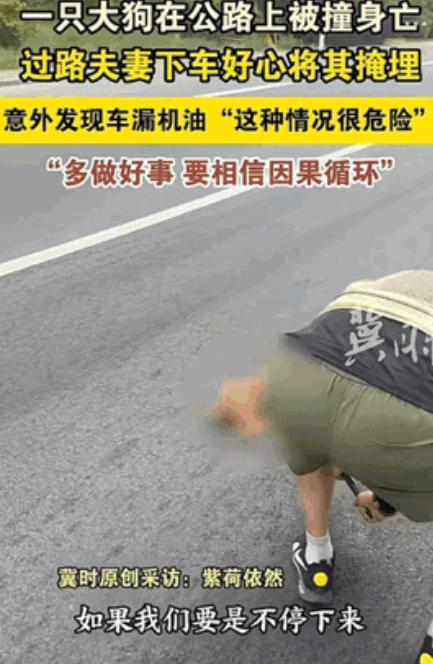 “也许这就是因果吧！”内蒙古，一对夫妻在公路上，看见一只大狗被撞身亡，夫妻俩不忍